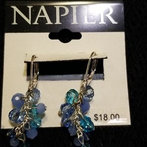 Beautiful blue earrings